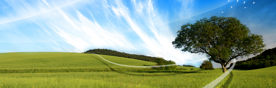 Landscape
